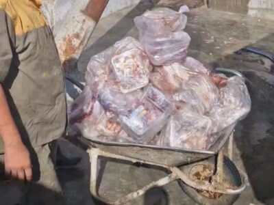 کشف گوشت احتکاری در شهریار