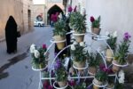 خدمات رسانی به شهروندان در تعطیلات نوروزی اولویت کاری شهرداری ملارد است